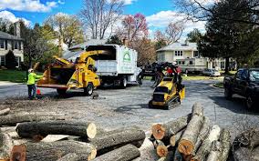 Lawn Grading and Leveling in Lavallette, NJ